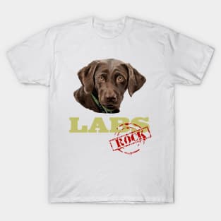 Chocolate Labs Rock! T-Shirt